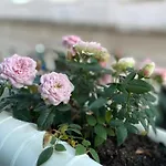Διαμέρισμα Casa Rosas Do Mondego *